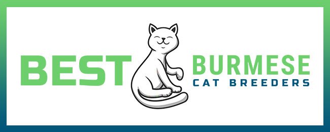 bestburmesecatbreeders