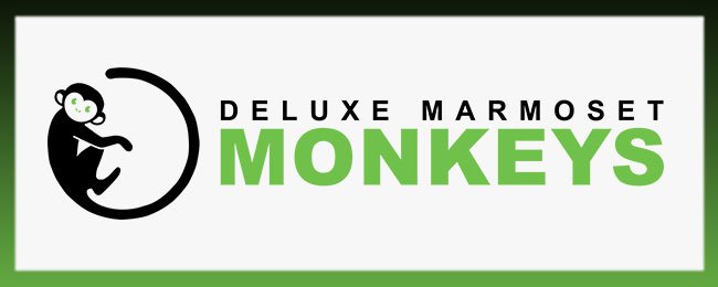 deluxemonkey