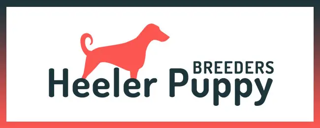 heelerpuppybreeders